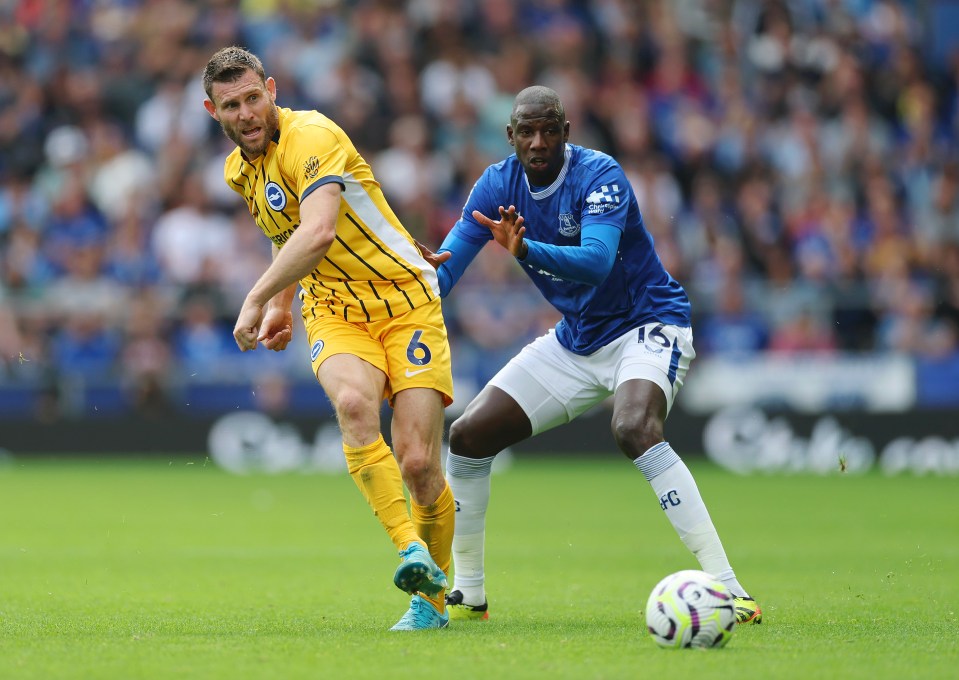 James Milner, seen passing as Everton's Abdoulaye Doucoure watches on in Saturday's game, has set a record for playing in the most Prem seasons