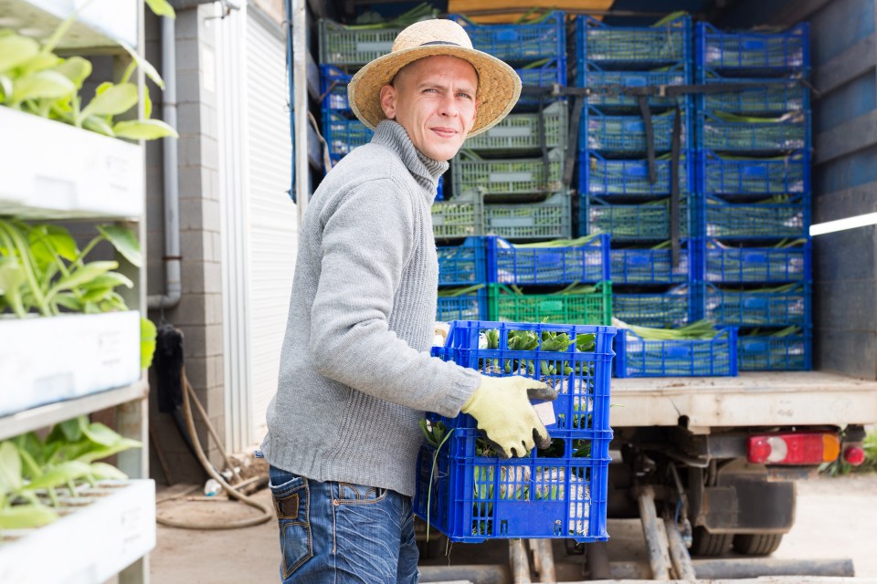 a man in a straw hat is carrying a blue crate of vegetables