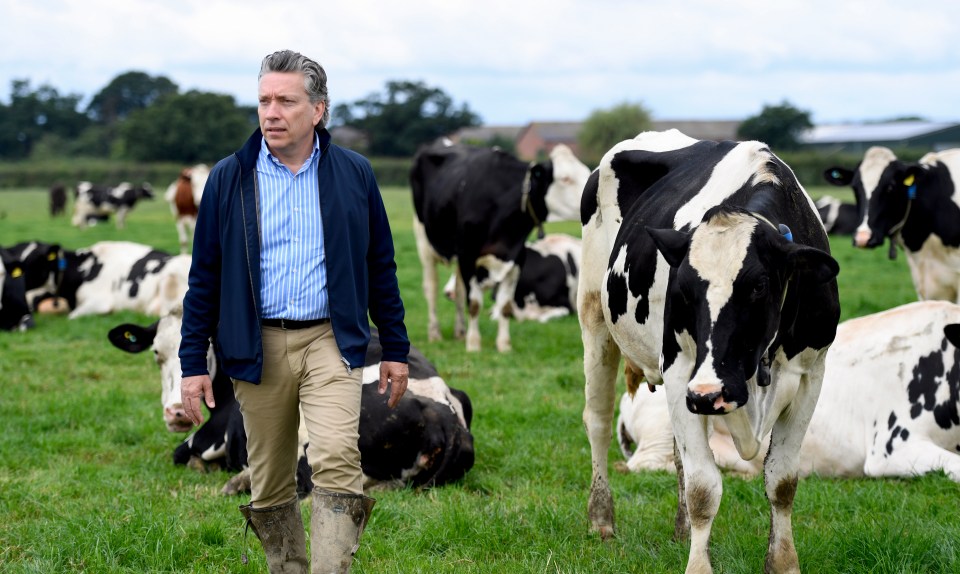 Dairy giant Arla boss Bas Padberg says putting solar panels on cattle sheds will help offset greenhouse gases from farting cows