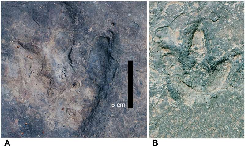 Discovery is further evidence about Earth's old supercontinent