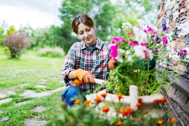 a woman wearing orange gloves is working in a garden