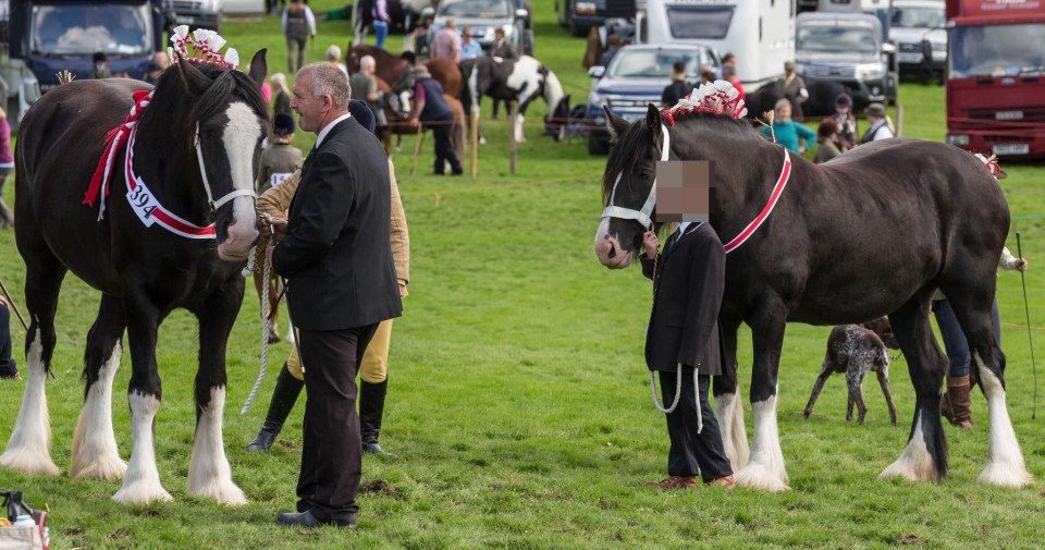 The Millom and Broughton Agricultural Show will not have horses this year