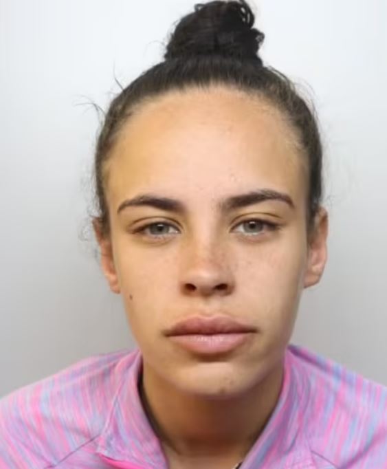 She sobbed as she was slammed by a judge after admitting violent disorder