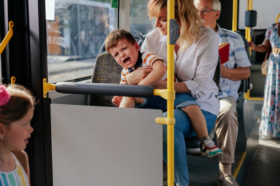 A Mumsnet user caused a stir online when she shared the details of her recent commute (stock image)