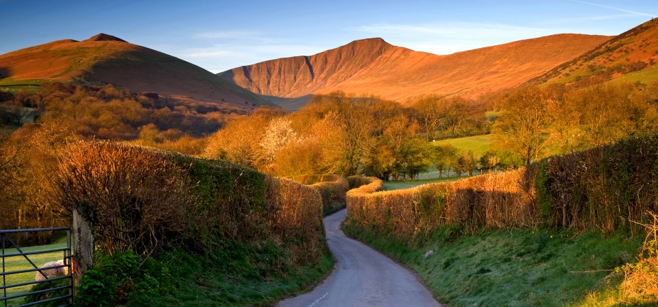 a country road with a mountain in the background