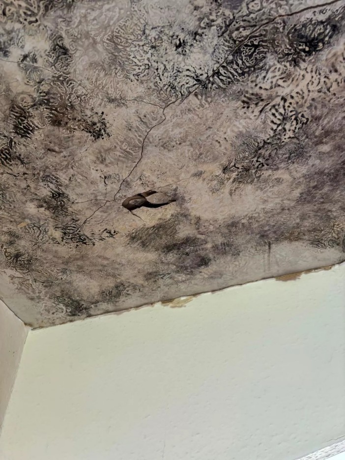 A mum has been left fearing for her baby's life after moving into a mould-riddled flat