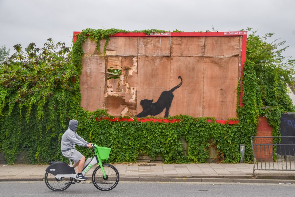 It appeared on a disused advertising board