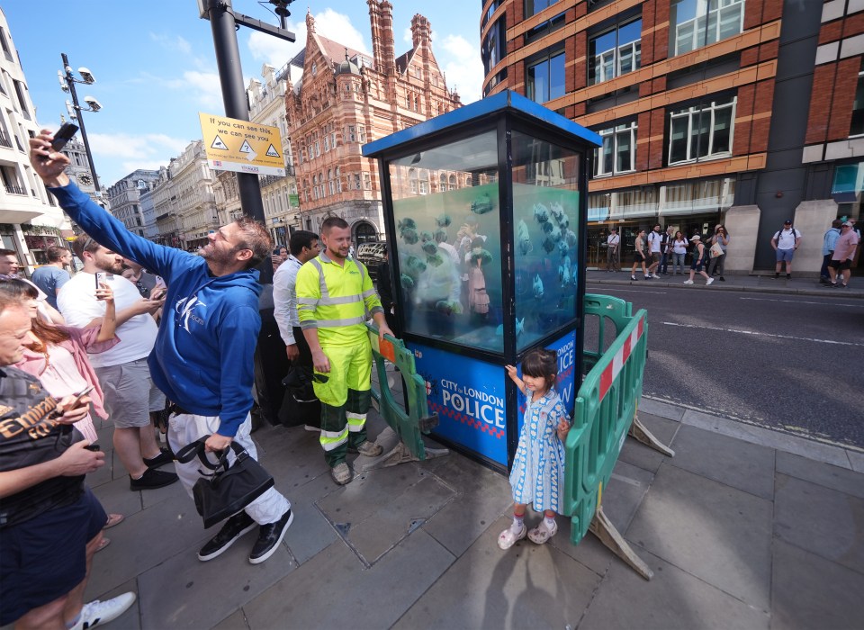 Banksy's latest animal-themed work has appeared on a police box in the City of London