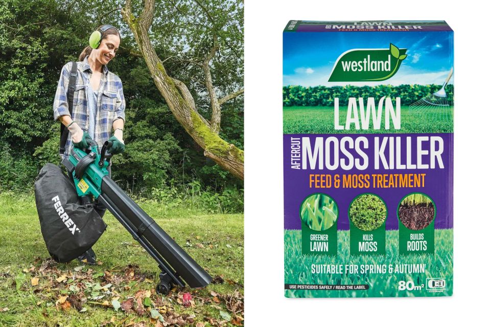 Suck up all the leaves, then treat your lawn ahead of autumn setting in