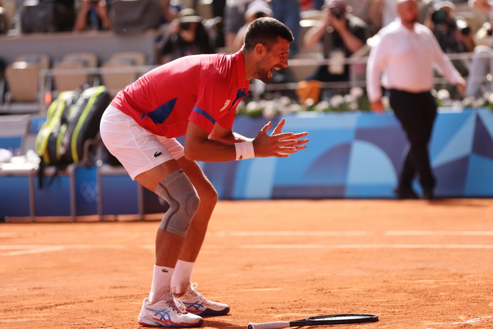 Djokovic looked overwhelmed after securing a gold medal