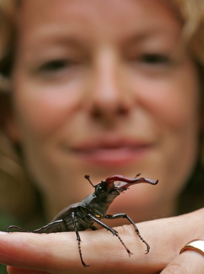 Kate was a fan-favourite presenter on Springwatch