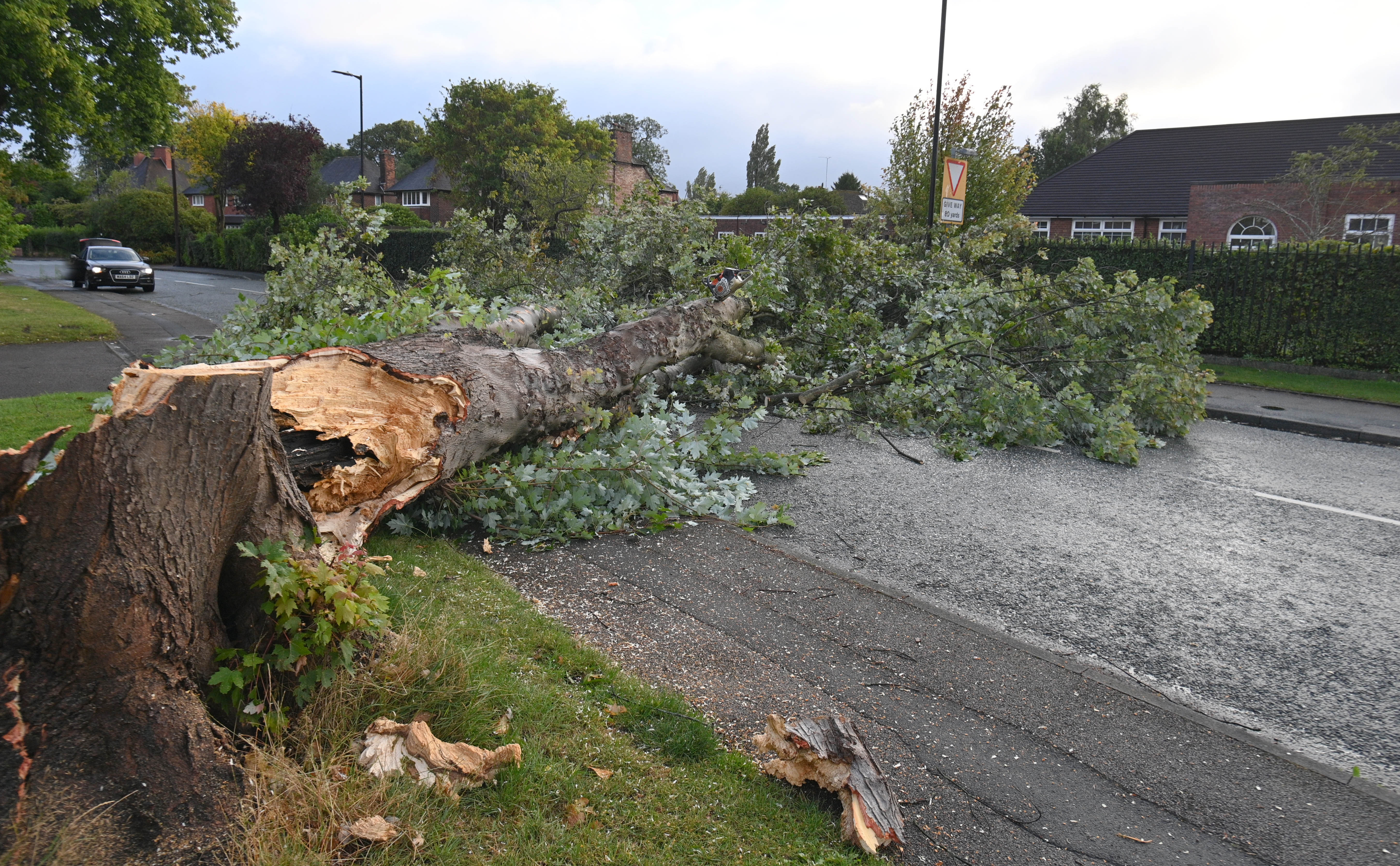 A tree blocks the road in Cheshire after Storm Lilian hit