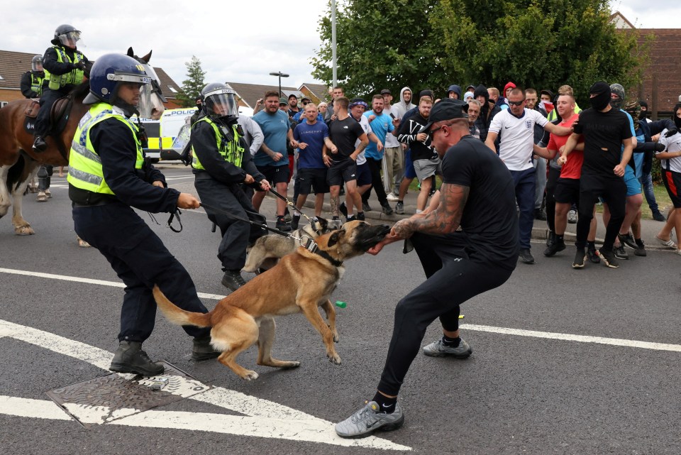 A police dog attacks a protester in Rotherham