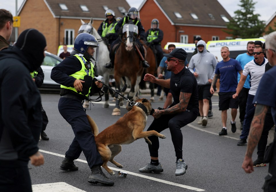 A police dog attacks a protester in Rotherham as officers on police horses stand by