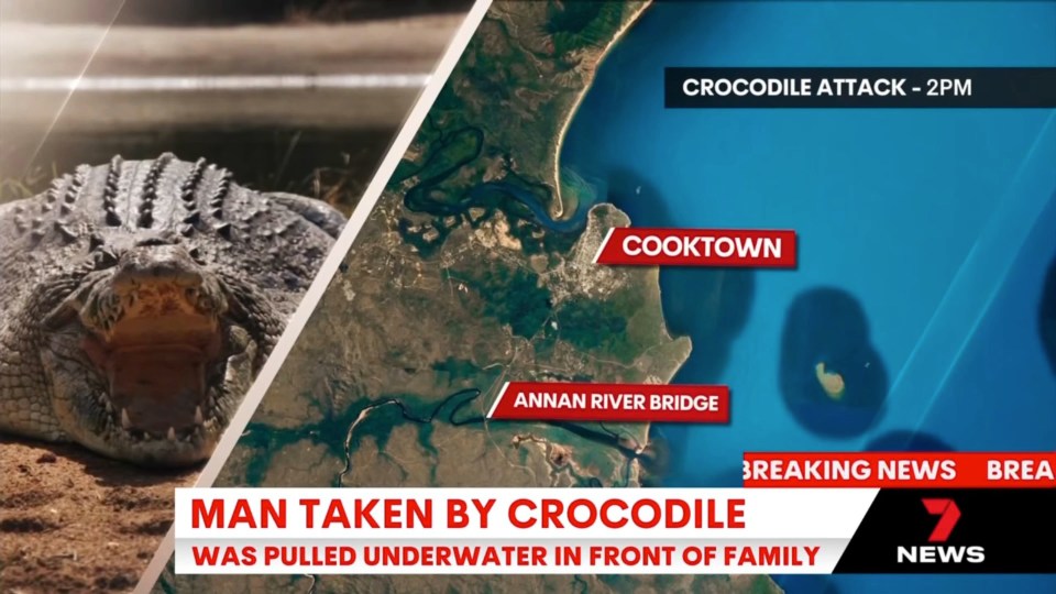 a news report about a man taken by a crocodile