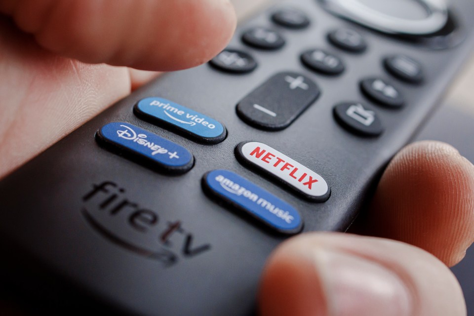 a person is holding a fire tv remote control