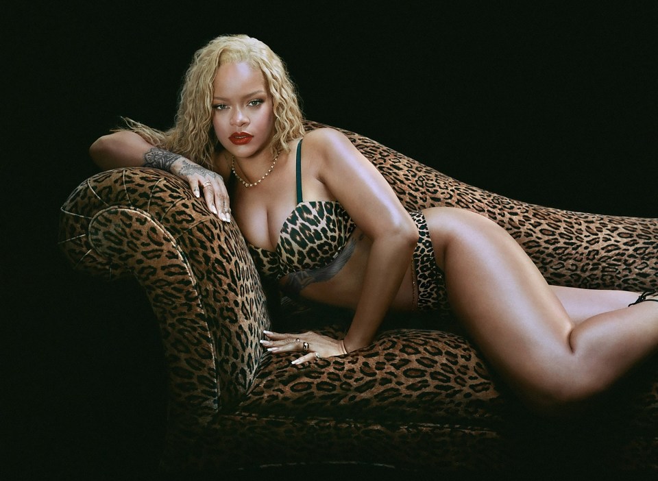 Rihanna shows off her wild side as she poses in leopard-print lingerie