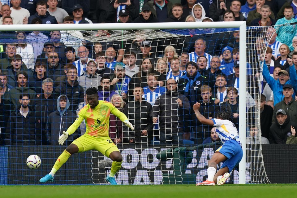 An unmarked Joao Pedro headed home Brighton's winner