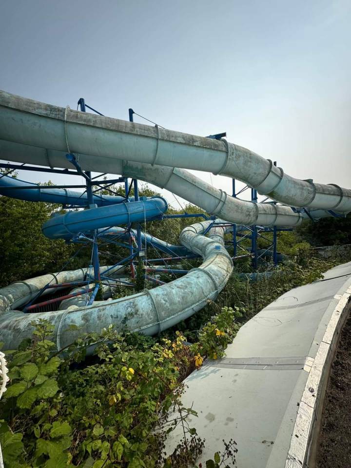 He showed overgrown Domebusters flumes