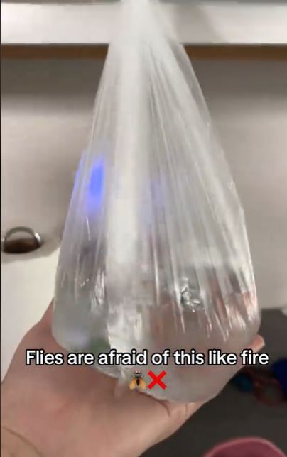 She claims that flies are 'afraid of this like fire'