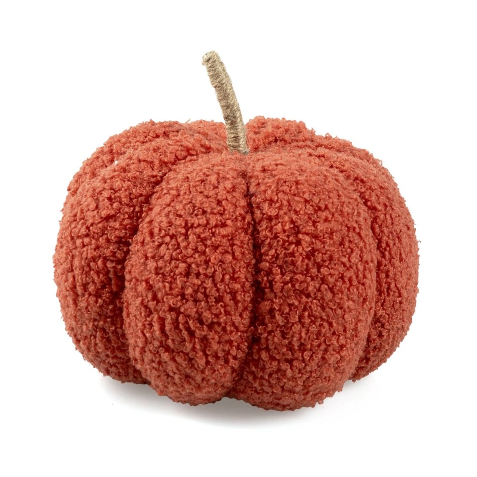 a red pumpkin with a brown stem on a white background