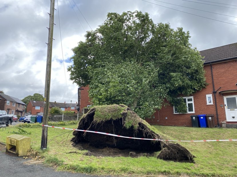 A tree fell onto Anthony Brittain’s home in Ribble Drive, Bury