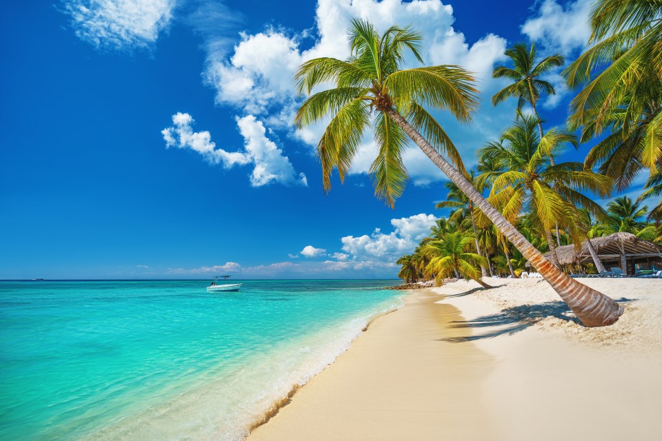 a tropical beach with palm trees and a boat in the water