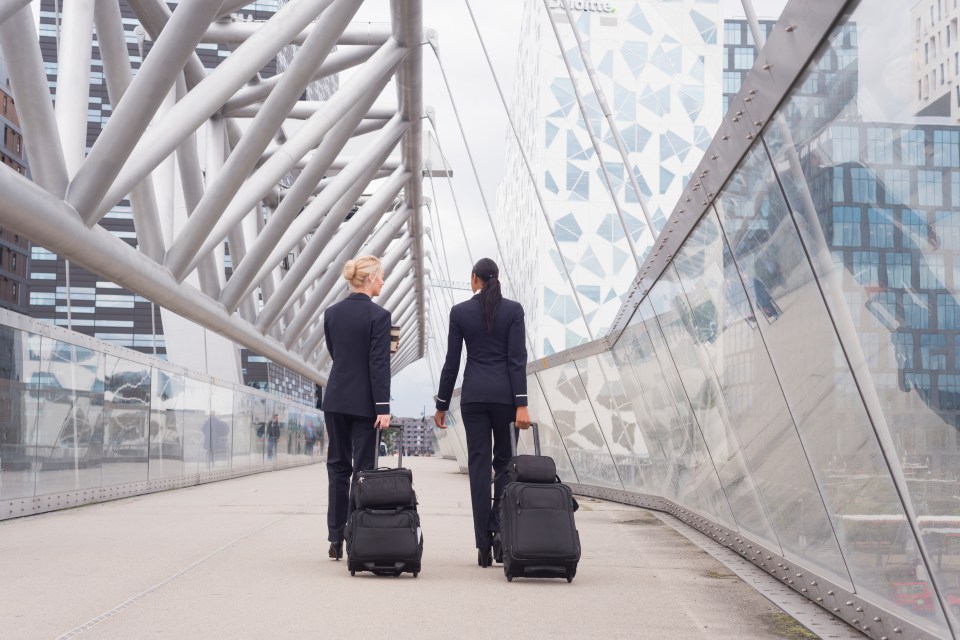 A flight attendant revealed which items passengers should avoid bringing on board (stock image)