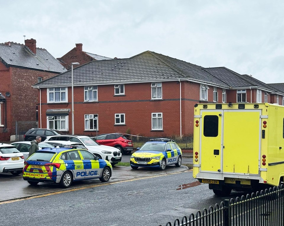 several police cars are parked on the side of the road