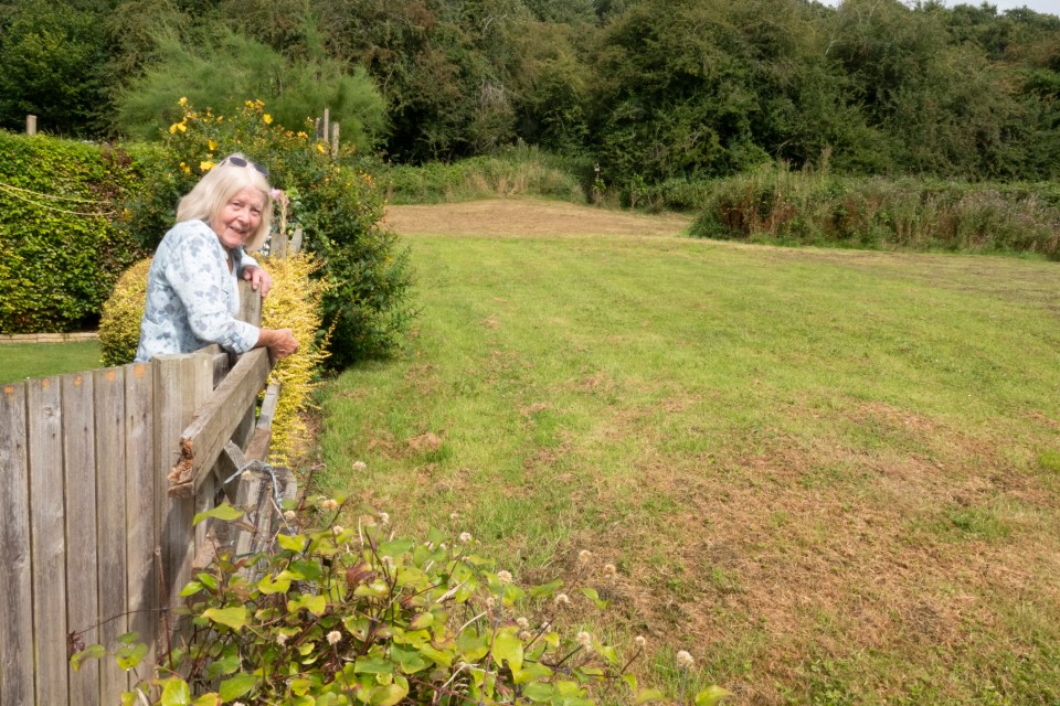 Madeleine, 74, has lived with her garden backing onto the land for 24 years