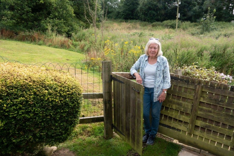 Madeline Lindley's moveable fence between her garden and the field was nailed shut