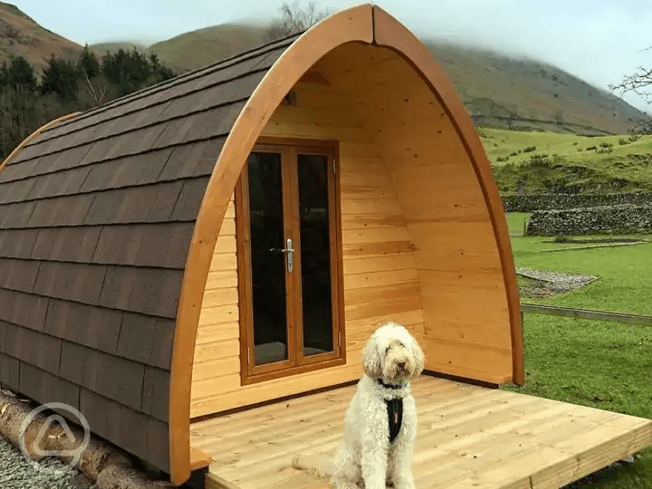 The campsite also has three dog-friendly cabin pods