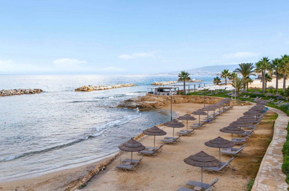 a beach with a lot of chairs and umbrellas