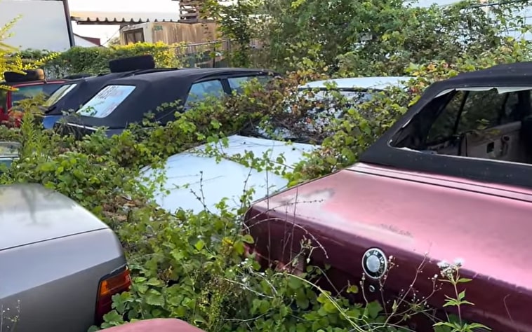 a row of cars with a bmw logo on the back