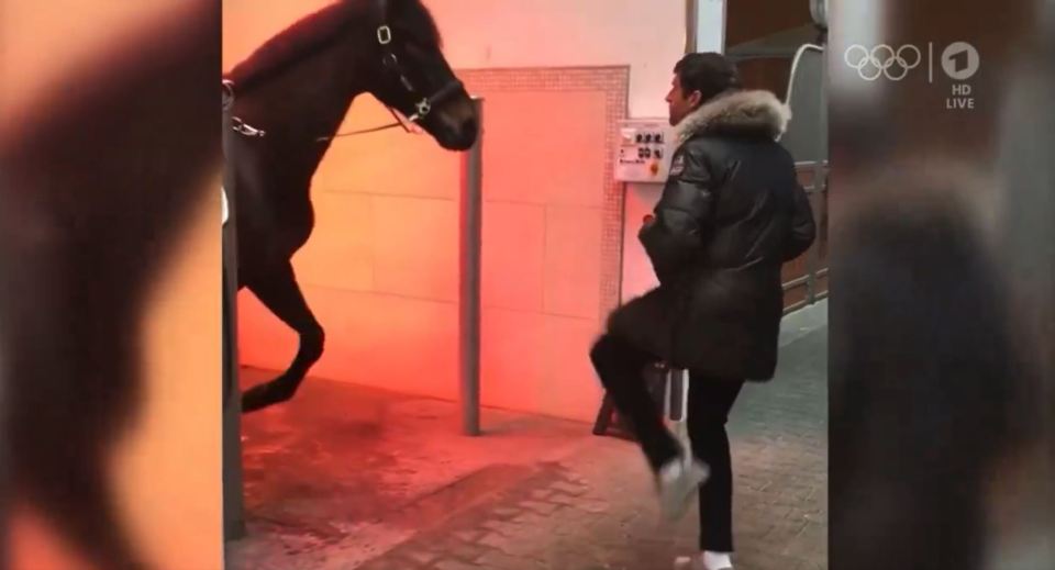 A clip of Thomas Muller dancing with a horse bizarrely came on screen