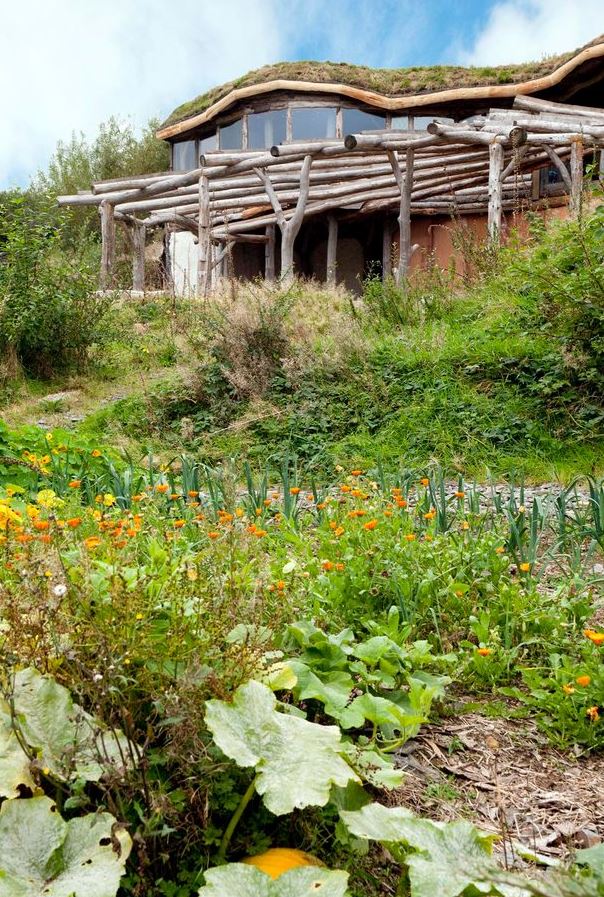 a house with a green roof is surrounded by flowers and plants