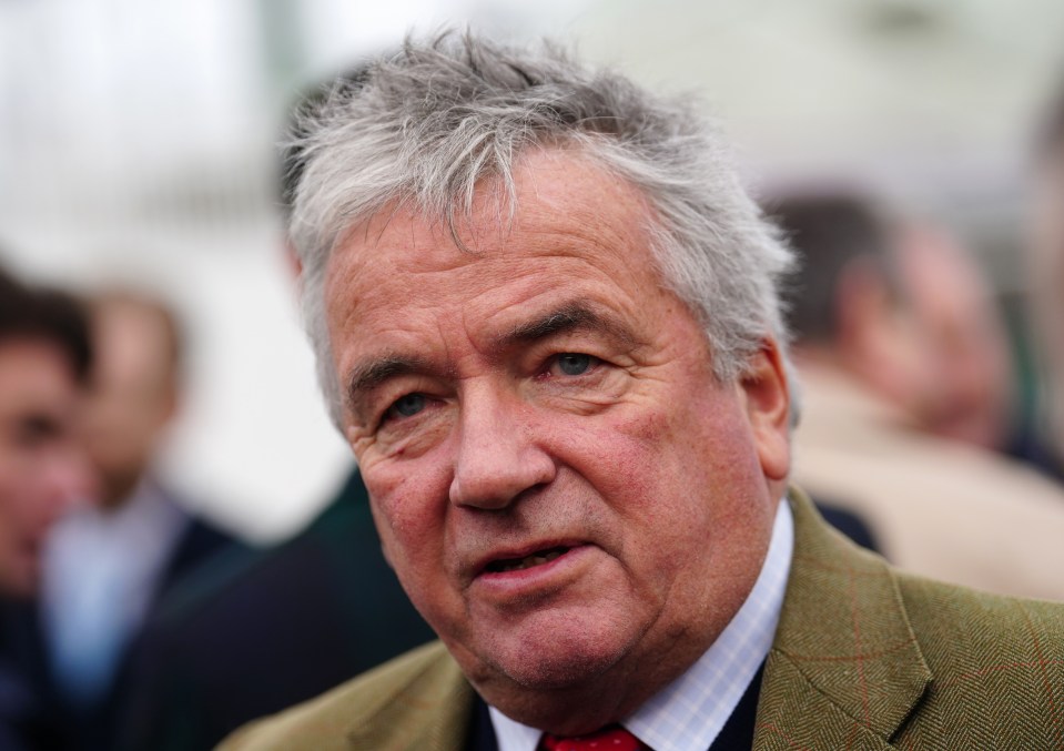 a man with gray hair is wearing a plaid jacket and a red tie