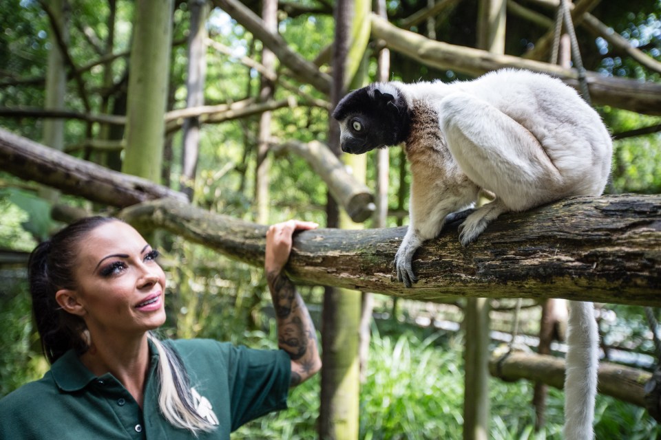 Jodie said the ring-tailed lemurs’ owner wanted her to take them in