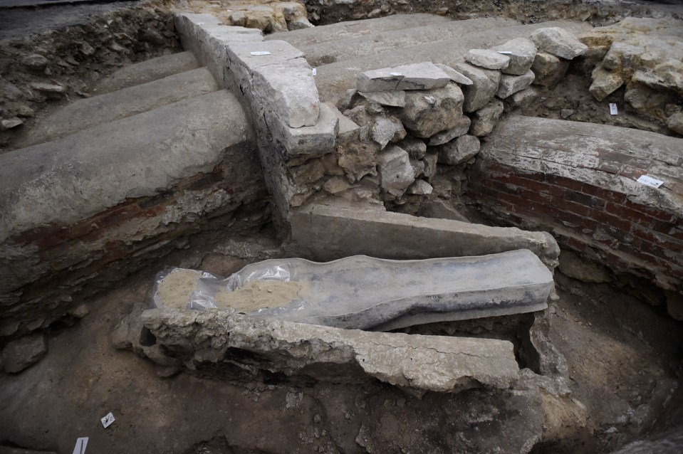 The man buried in the mysterious lead coffin discovered under Notre-Dame has been revealed by scientists