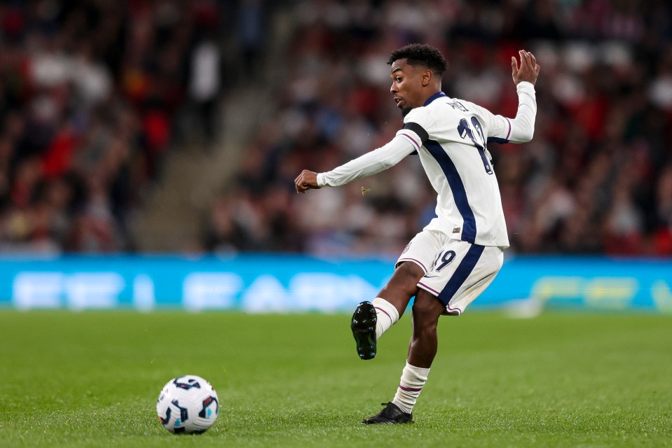 Angel Gomes is out of contract at Lille next summer