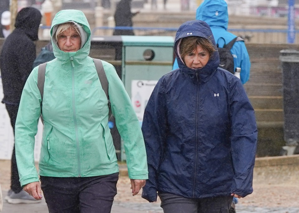 Walkers braving the rain and the cold in Brighton earlier this year