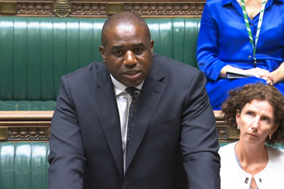 Labour have been accused of 'shameful gesture politics' and caving to the mob after Foreign Secretary David Lammy announced the banning of some sales of arms to Israel