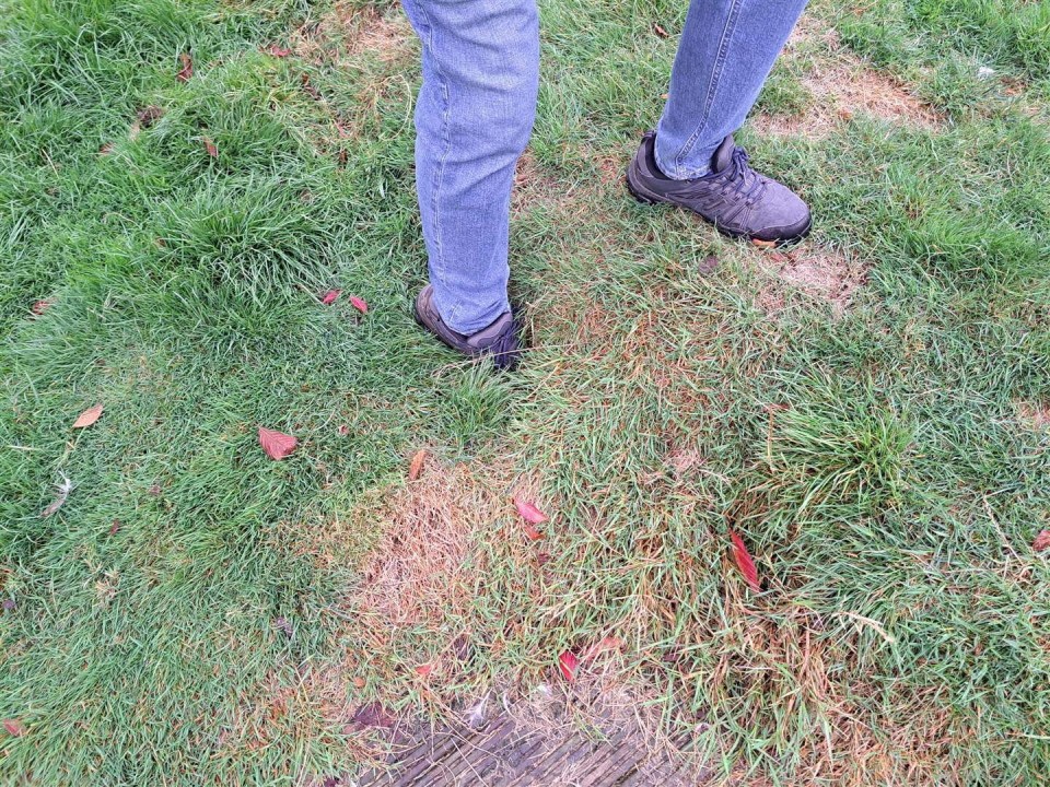 a person standing in the grass wearing black shoes