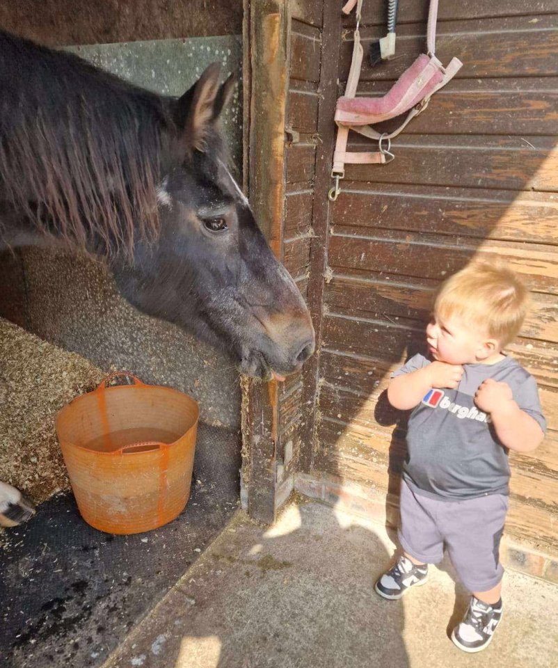 a little boy wearing a berghaus shirt stands next to a horse