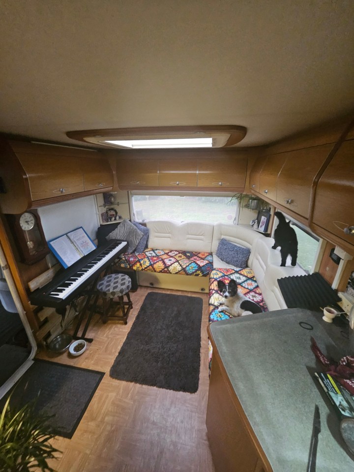 a living room with a piano and a cat on the couch