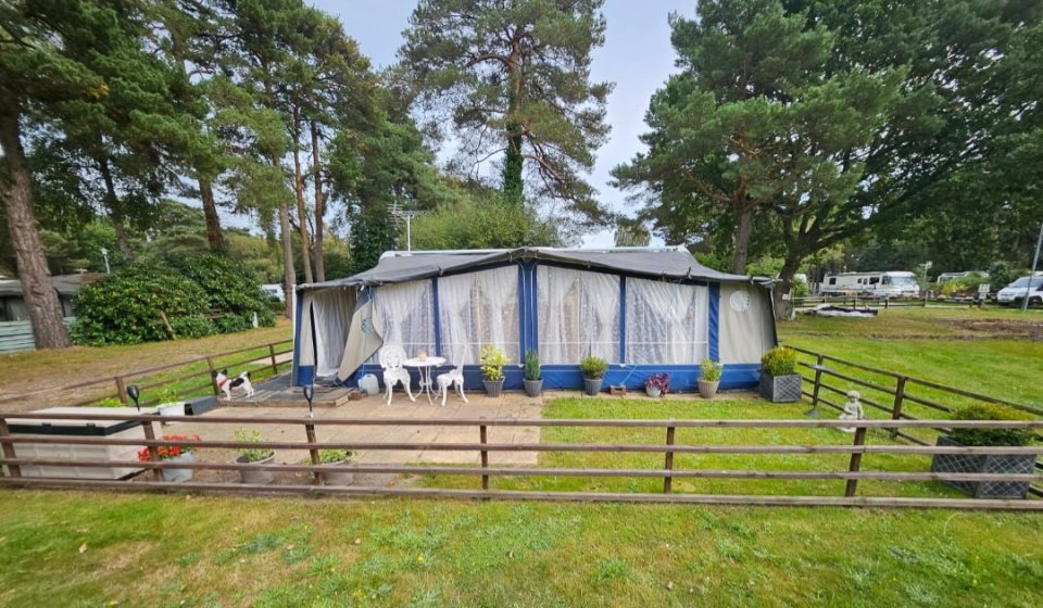 a blue and white tent sits in the middle of a lush green field