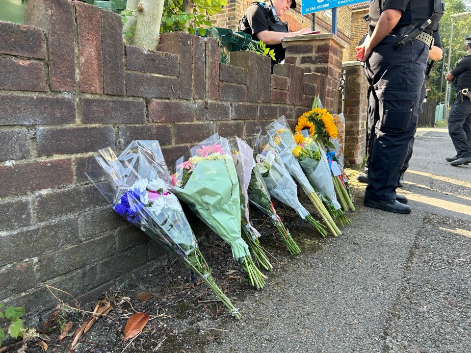 a bunch of flowers are lined up against a brick wall