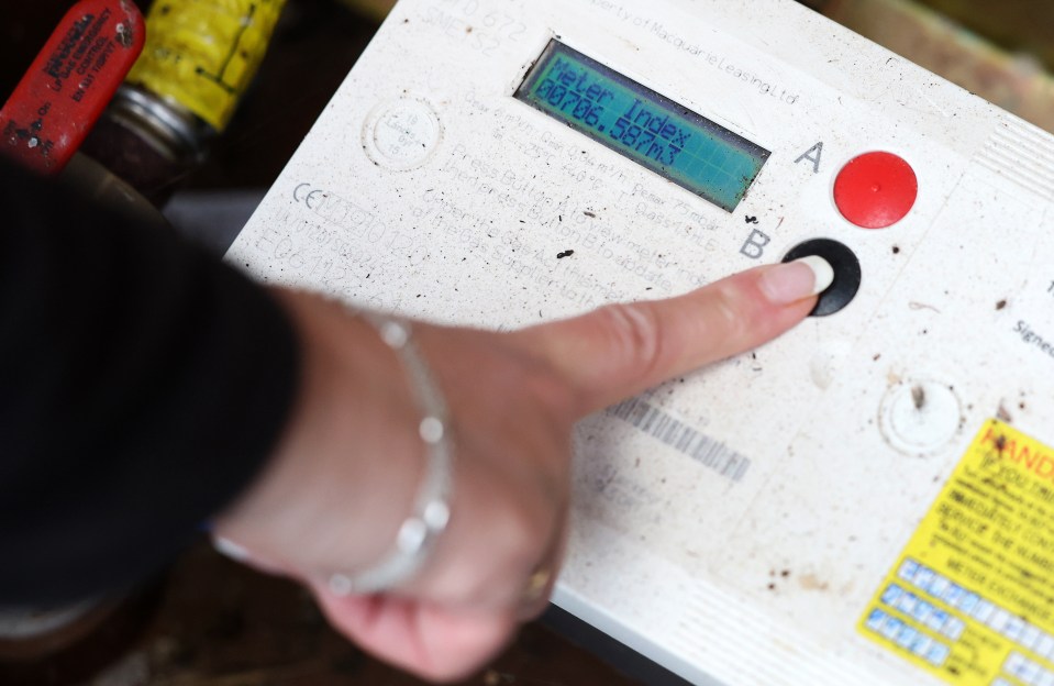 a person is pressing a button on a meter that says meter index