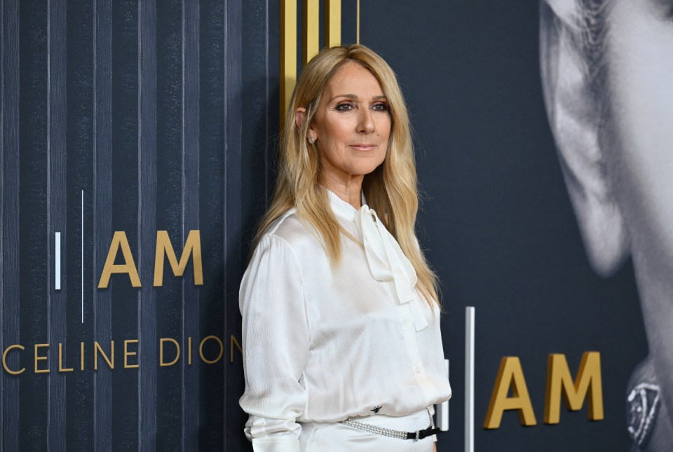 Canadian singer Celine Dion has been rumoured to make a comeback at the singing contest next May