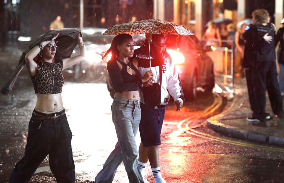 a woman in a leopard print top is holding an umbrella